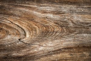 tree, texture, rough-1188082.jpg