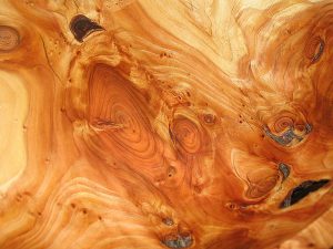wood, grain, structure-596419.jpg