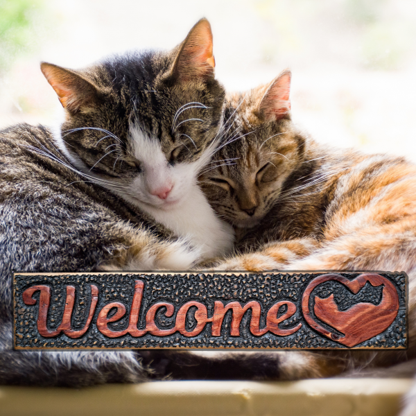 Welcome Sign with Interlocked Cat Heart Design - Hand-Carved in Repurposed Wood - Image 2